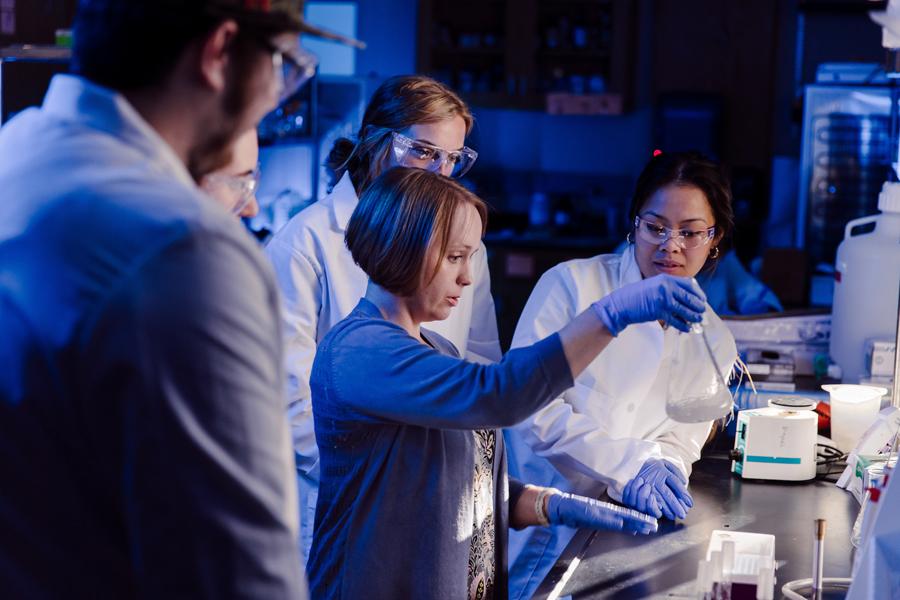 Students working in Biology Lab